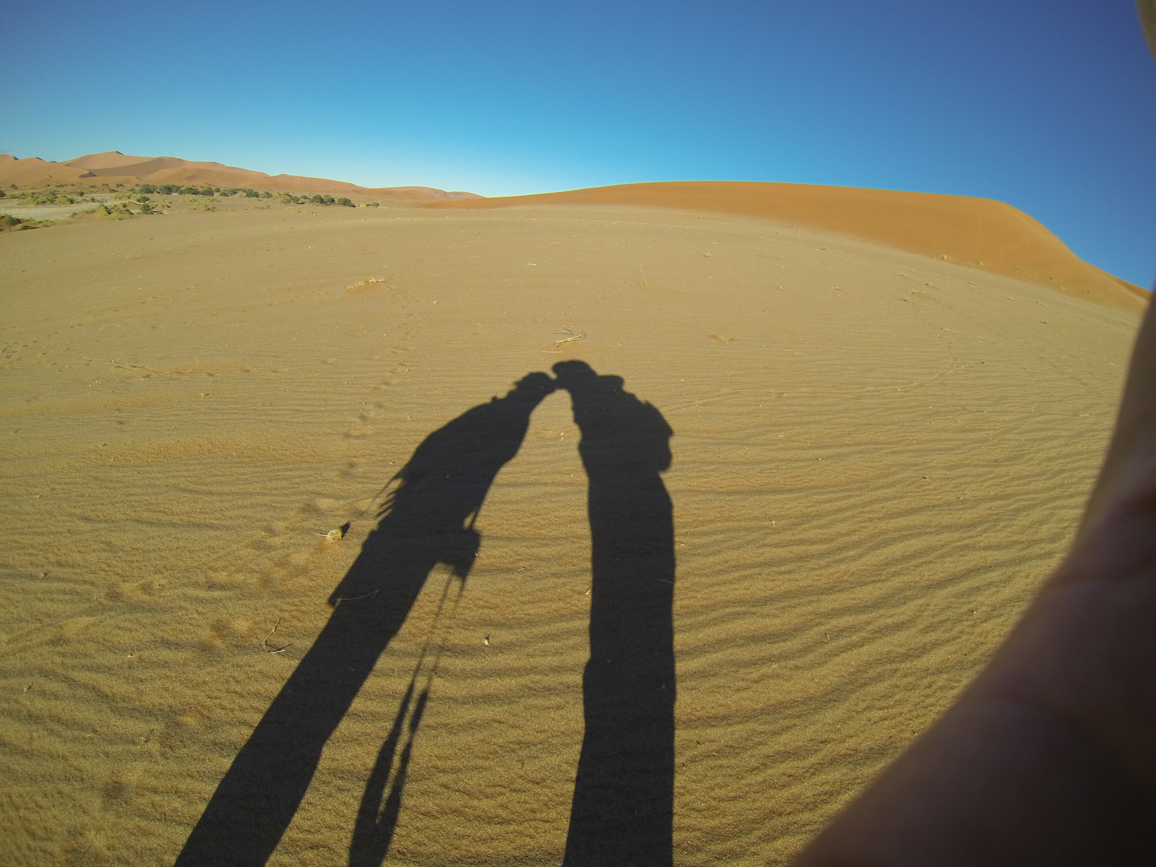 Couverture Namibie 2013